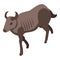 Wild wildebeest icon, isometric style