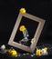 Wild yellow daisy, chamomile flowers in small glass bottles balancing in a photo frame