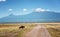 Wildbeest in Masai Mara reserve in Kenya with Kilimangaro mount