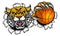 Wildcat Basketball Ball Mascot