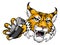 Wildcat Bobcat Ice Hockey Team Cartoon Mascot