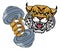 Wildcat Cougar Lynx Lion Weight Lifting Gym Mascot