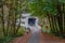 Wildcat Creek Covered Bridge in Oregon