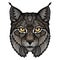 Wildcat lynx mascot isolated head