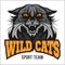 Wildcat mascot - sport team.