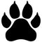 Wildcat paw print vector illustration