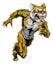 Wildcat sports mascot running