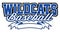 Wildcats Baseball Design With Banne