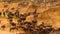 Wildebeest - Amazing Herd of Antelopes Gnu Goes to the River, Wild Nature, Africa, Savanna