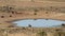 Wildebeest and antelopes at a waterhole