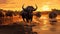 Wildebeest crossing the mara river at sunset in the Serengeti in Tanzania during the great migration