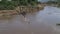 Wildebeest crossing river in Kenya