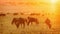 Wildebeest Grazing at Golden Sunset