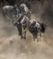 Wildebeest jumping into Mara River. Great Migration. Kenya. Tanzania. Masai Mara National Park.