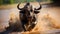Wildebeest Leap Into Mara River