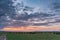 Wildebeest magical sunrise grazing on the savannah grasslands at the Maasai Mara National Game Reserve Park And Conservation Areas