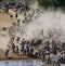 Wildebeests are runing to the Mara river. Great Migration. Kenya. Tanzania. Masai Mara National Park.