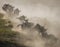 Wildebeests running through the savannah. Great Migration. Kenya. Tanzania. Masai Mara National Park.