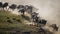 Wildebeests running through the savannah. Great Migration. Kenya. Tanzania. Masai Mara National Park.