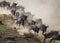 Wildebeests running through the savannah. Great Migration. Kenya. Tanzania. Masai Mara National Park.