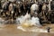 Wildebeests rushing and jumping in Mara river to cross