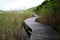 Wilderness Boardwalk in the Garden Route