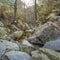 Wilderness  boulders creek in pristine environment