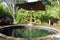 The Wilderness Camp Jao Lodge with a wonderfull pool