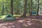 Wilderness Camp in the North Woods