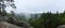Wilderness forest in fog and rain, panoramic view