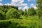 Wilderness in the Gorodjanka River Valley, Russia