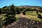 Wilderness Mountain Slope Of Etna Mount, Sicily