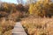 Wilderness ramp in marsh in autumn