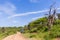 Wilderness Safari Vehicle Wildlife Dirt Road