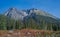 Wilderness Setting behind the Clearcut Logging