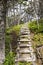 Wilderness trail stairs in Newfoundland