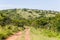 Wilderness Wildlife Dirt Road Landscape