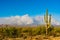 Wildfire in the Arizona Desert