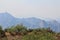 Wildfire, Bighorn, Santa Catalina Mountains, Coronado National Forest, Tucson, Arizona, United States