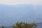 Wildfire, Bighorn, Santa Catalina Mountains, Coronado National Forest, Tucson, Arizona, United States