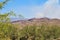 Wildfire, Bighorn, Santa Catalina Mountains, Coronado National Forest, Tucson, Arizona, United States