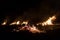 Wildfire burning on grass and wood at night. dangerous place on fire. close-up fire shot.