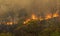 Wildfire disaster in tropical forest caused by human