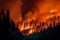 Wildfire Engulfs Dense Forest at Night