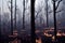 Wildfire in forest caused by human deforestation landscape background. Massive smoke from bushfire disaster apocalyptic