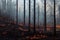 Wildfire in forest caused by human deforestation landscape background. Massive smoke from bushfire disaster apocalyptic