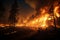 Wildfire rages in the dark, firefighters battle untamed forest