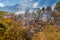 A wildfire raging across brush land near Worcester, Western Cape, South Africa