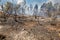 A wildfire raging across brush land near Worcester, Western Cape, South Africa