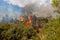 A wildfire raging across brush land near Worcester, Western Cape, South Africa